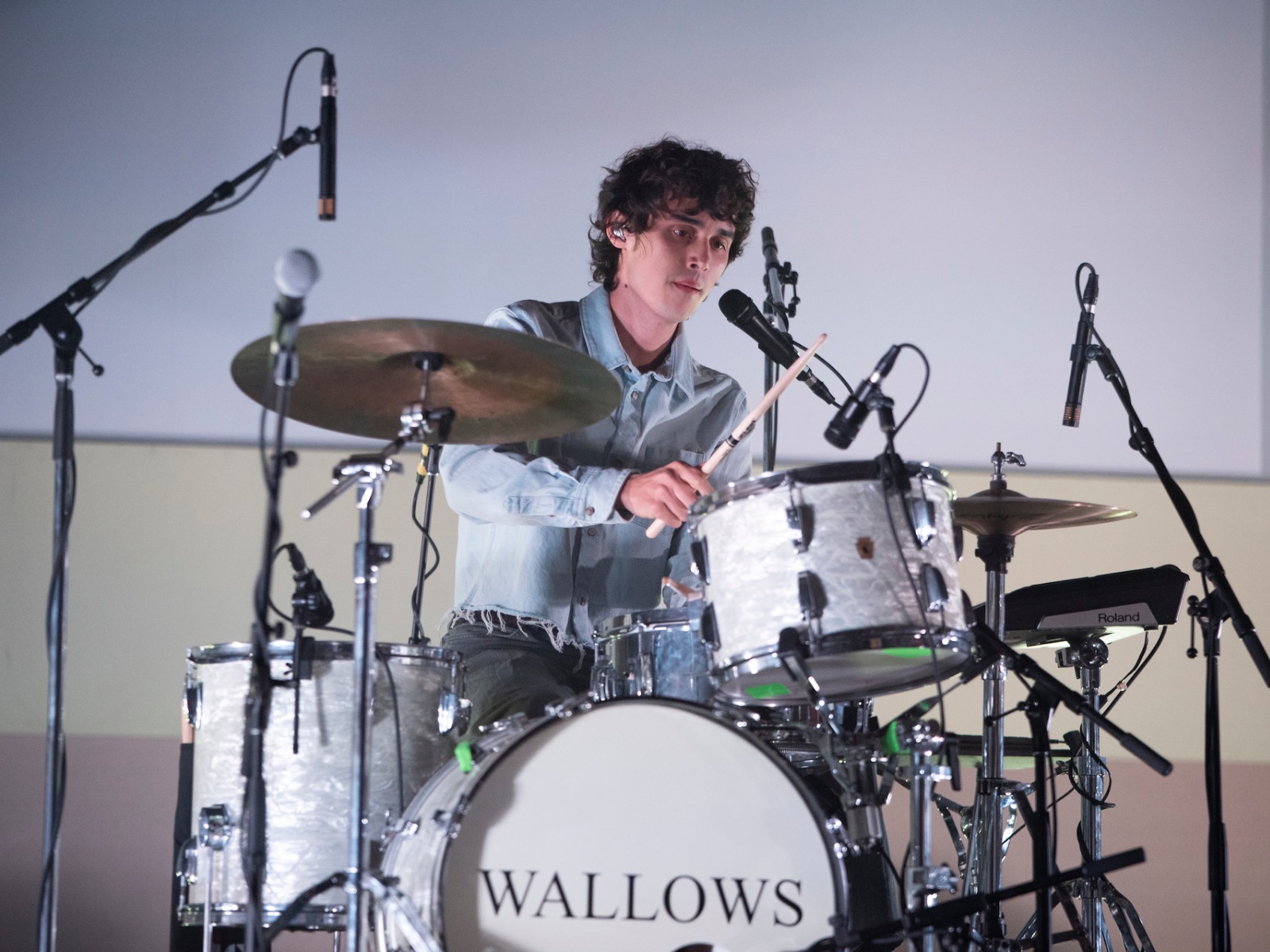 Wallows