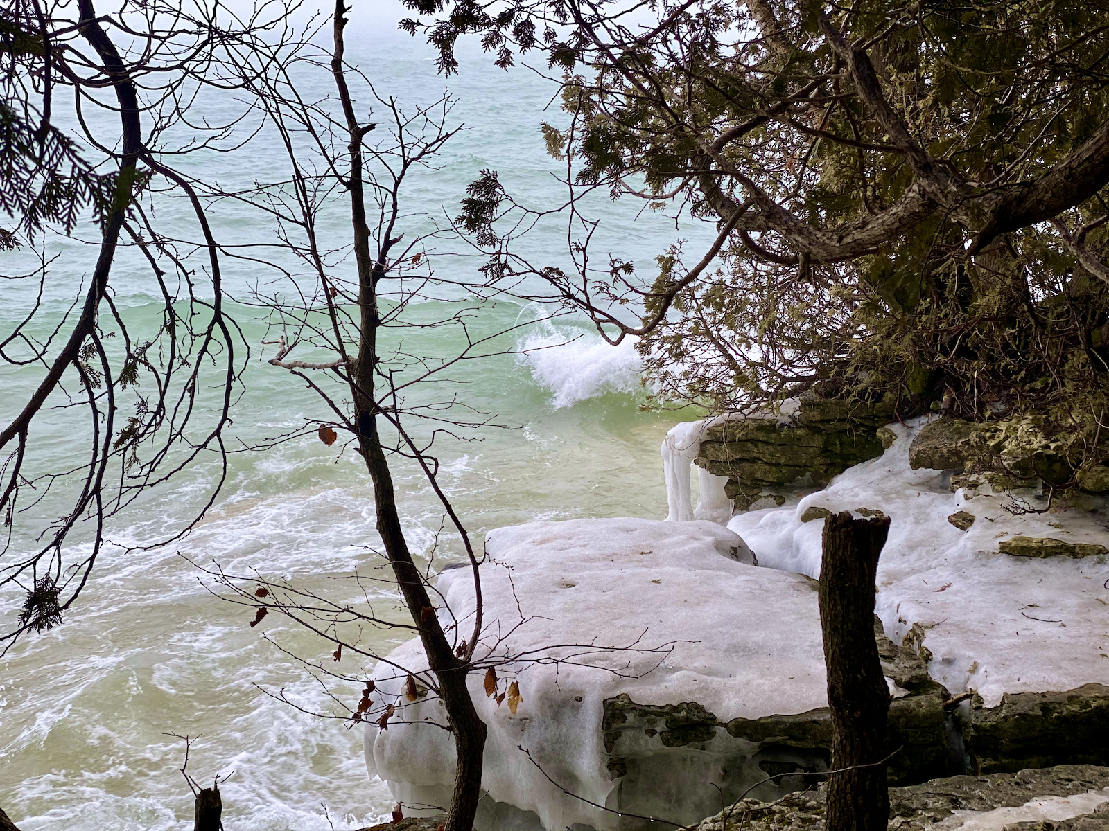 Lake Michigan through trees