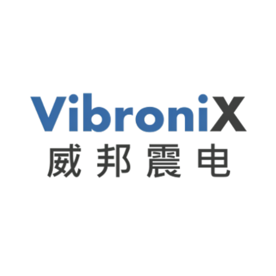 Vibroni X