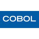 COBOL + Synon -developer 