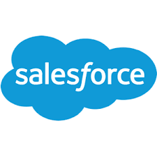 Senior Salesforce Developer 