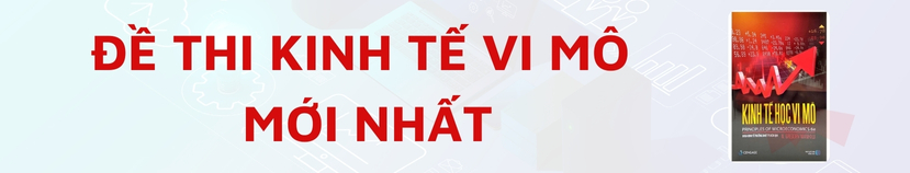 Đề thi kinh tế vi mô mới nhất