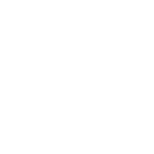 Schott Zwiesel