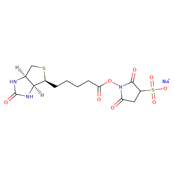 Molecular structure of 194041-65-1