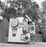 Skopudser og barn med duer ved Rådhuset