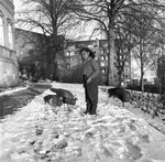 Schulterbrandt, Frk. med påfugl: Haven Ceres