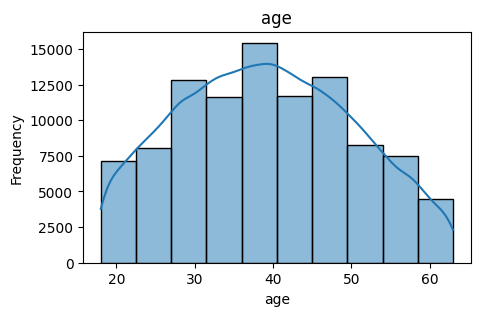 Synthetic Healthcare Insurance Dataset Distribution
