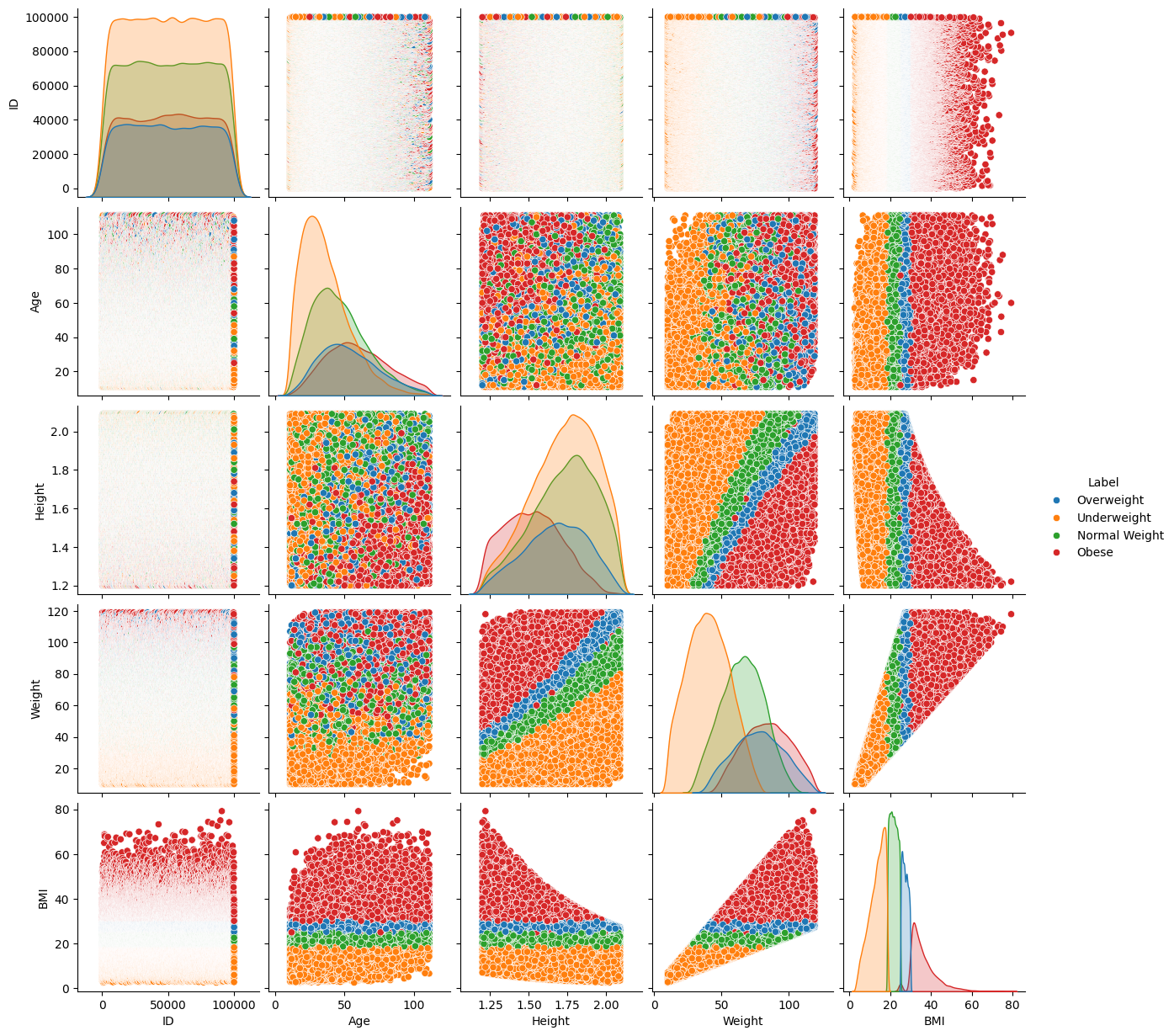 Synthetic Obesity Classification Data