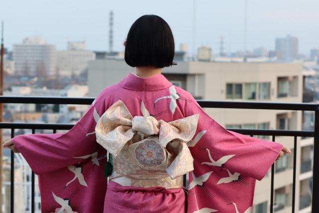 成人式 的鶴樣和服 新井一二三 東京 東京 獨立評論