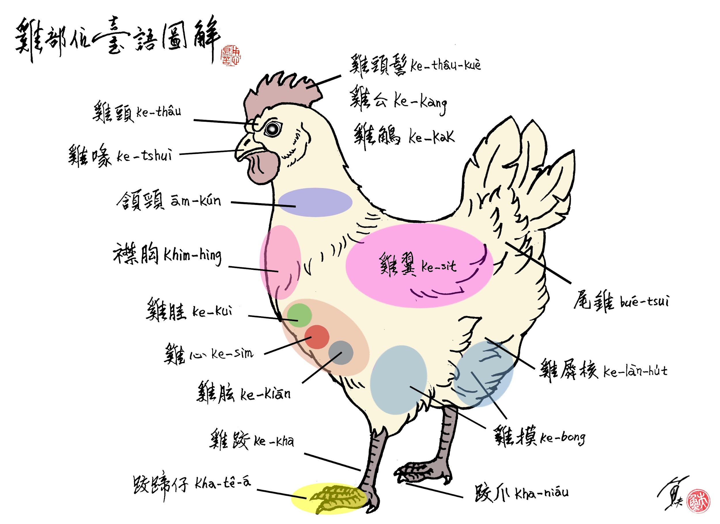 公雞和雞公——雞部位台語圖解 | 魚夫 / 魚腸劍譜 | 獨立評論