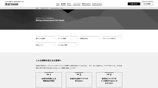 Marsys Assessment for GenAI​のスクリーンショット