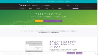 マネージド・ペネトレーション・テストのスクリーンショット