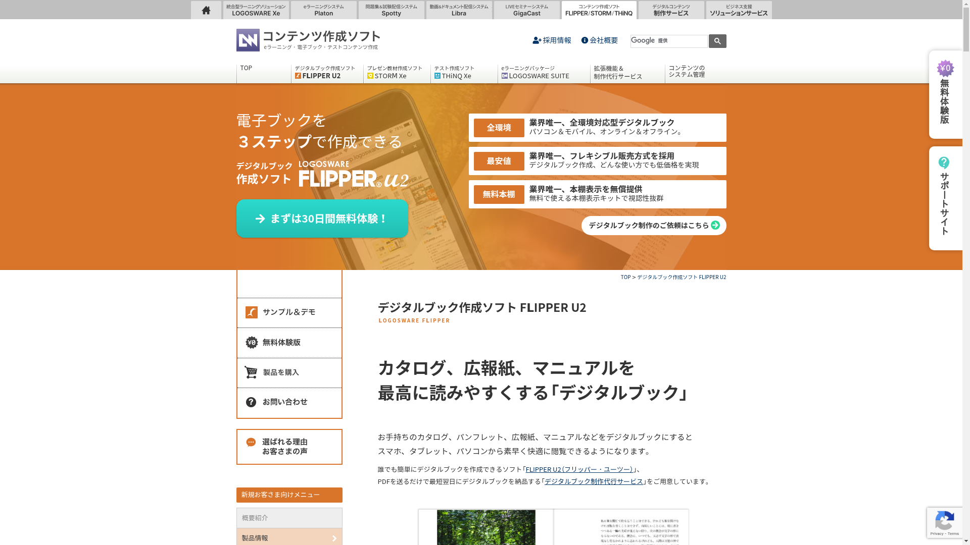 LOGOSWARE FLIPPER