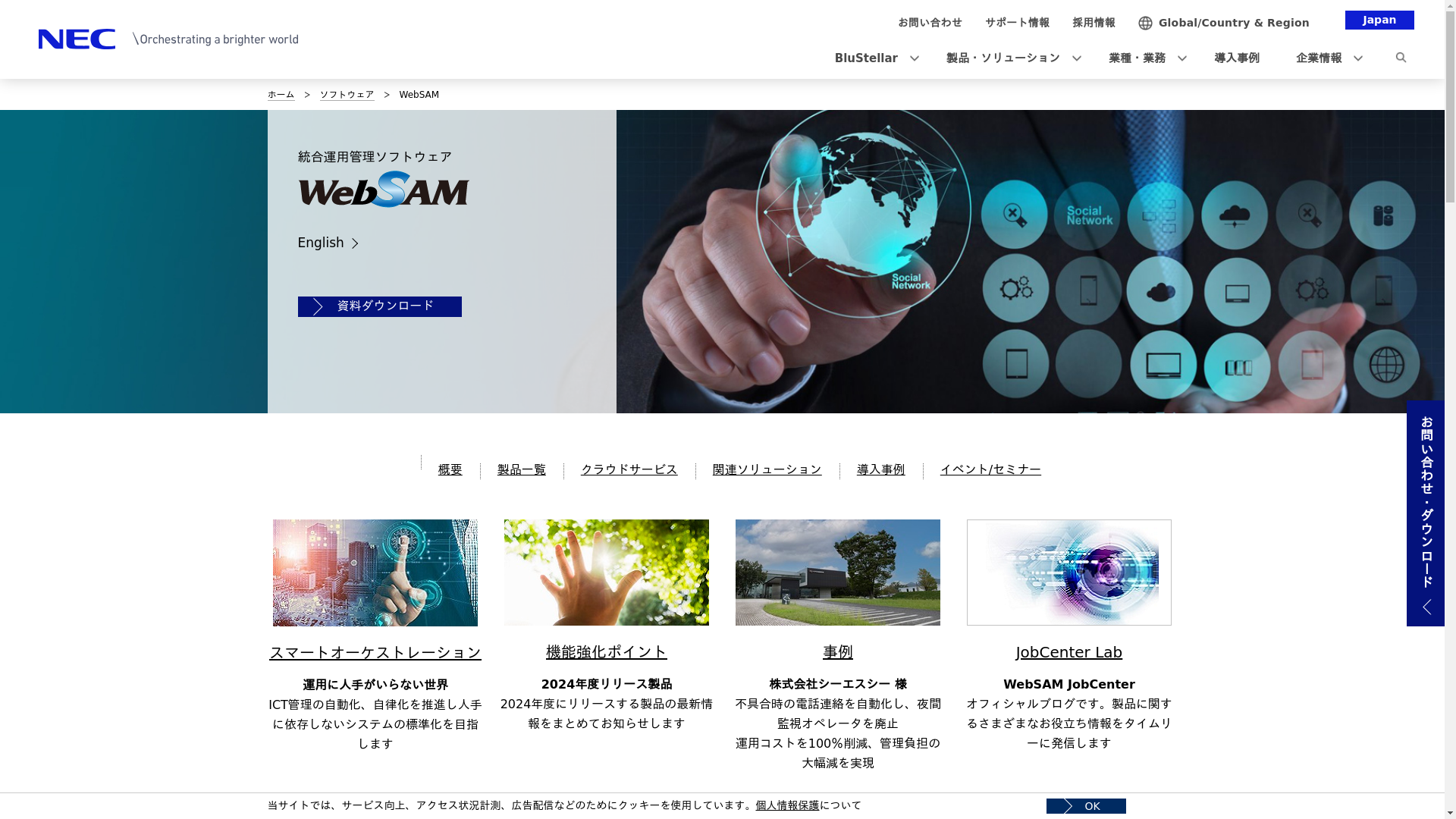 WebSAM