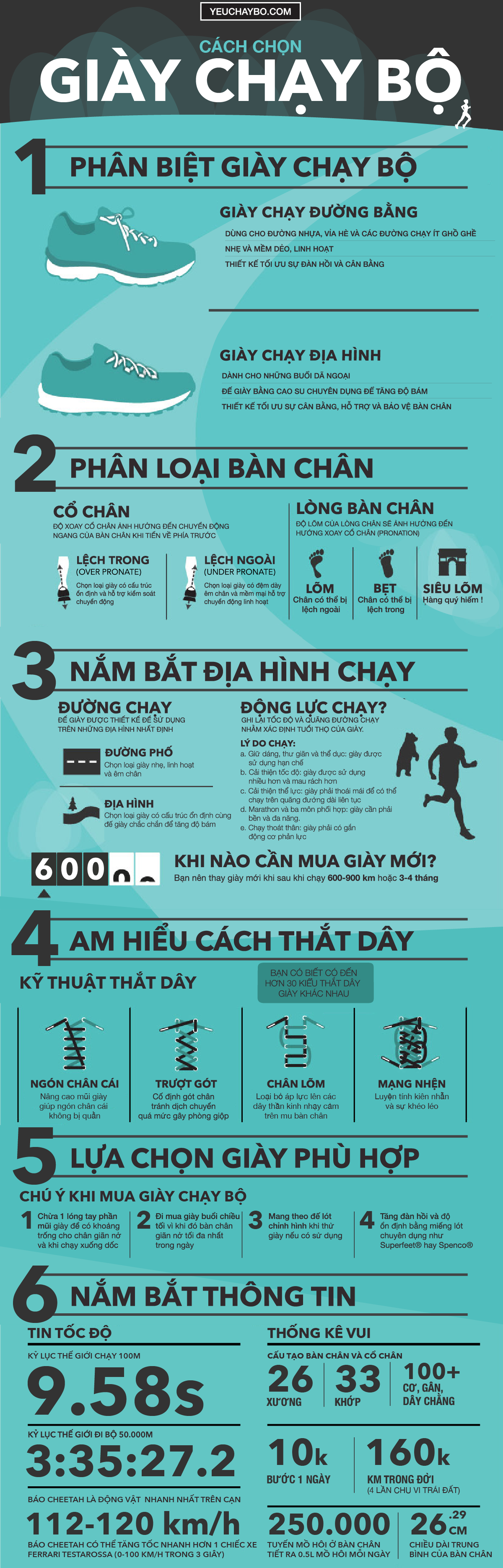 Lựa Chọn Giày Luyện Tập - Giày Chạy Bộ