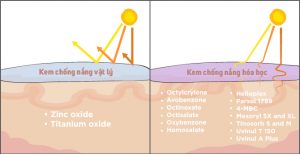 các loại kem chống nắng tốt