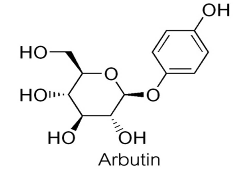 Arbutin có công dụng bật tông da, giúp da tươi sáng hơn