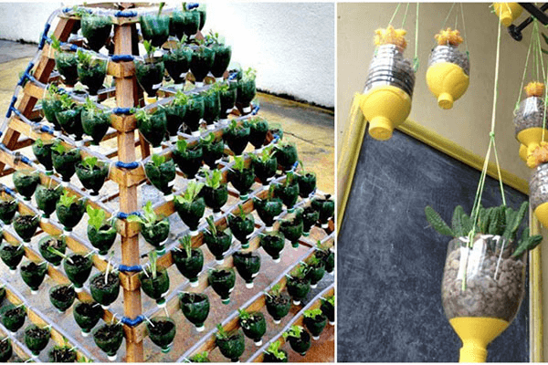 Cách làm tháp trồng rau bằng chai nhựa