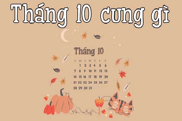 Ngày 23/10 là cung gì? Khám Phá Tính Cách Và Đặc Điểm Đầy Thú Vị