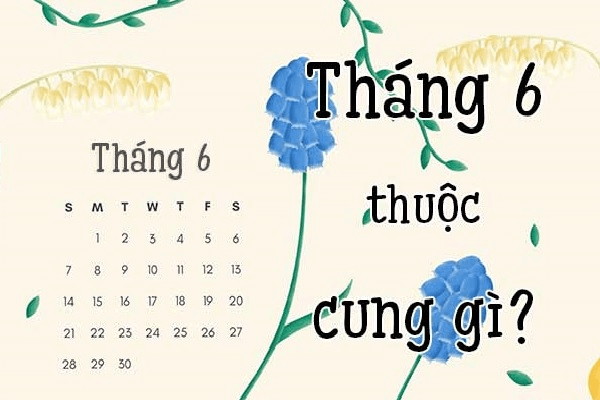 Sinh tháng 6 là cung gì?