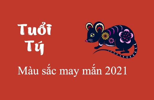 Người tuổi Tý thì nên chọn quần áo màu vàng, nâu đất hoặc trắng