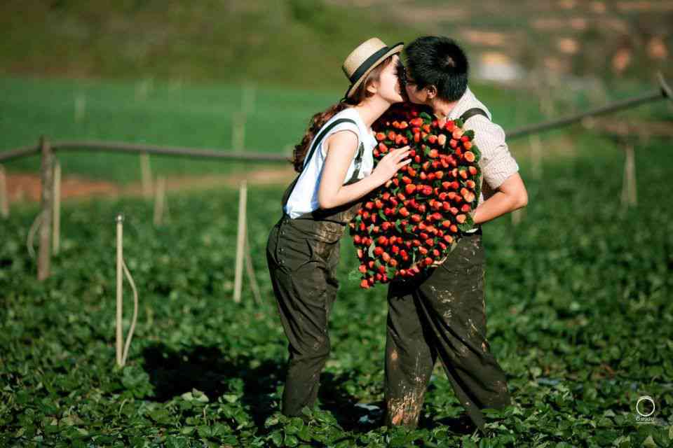 Tạo bất ngờ cho nàng bằng một chuyến du lịch xa