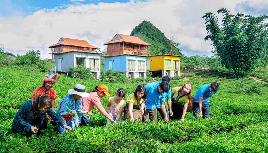 Bạn có thể lựa chọn nghỉ ngơi tại các khách sạn, nhà nghỉ hay Homestay với giá thành hợp lý