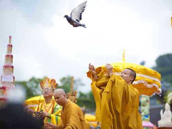 Phóng sinh là một trong những việc làm ý nghĩa nhất trong Đại lễ Phật Đản.