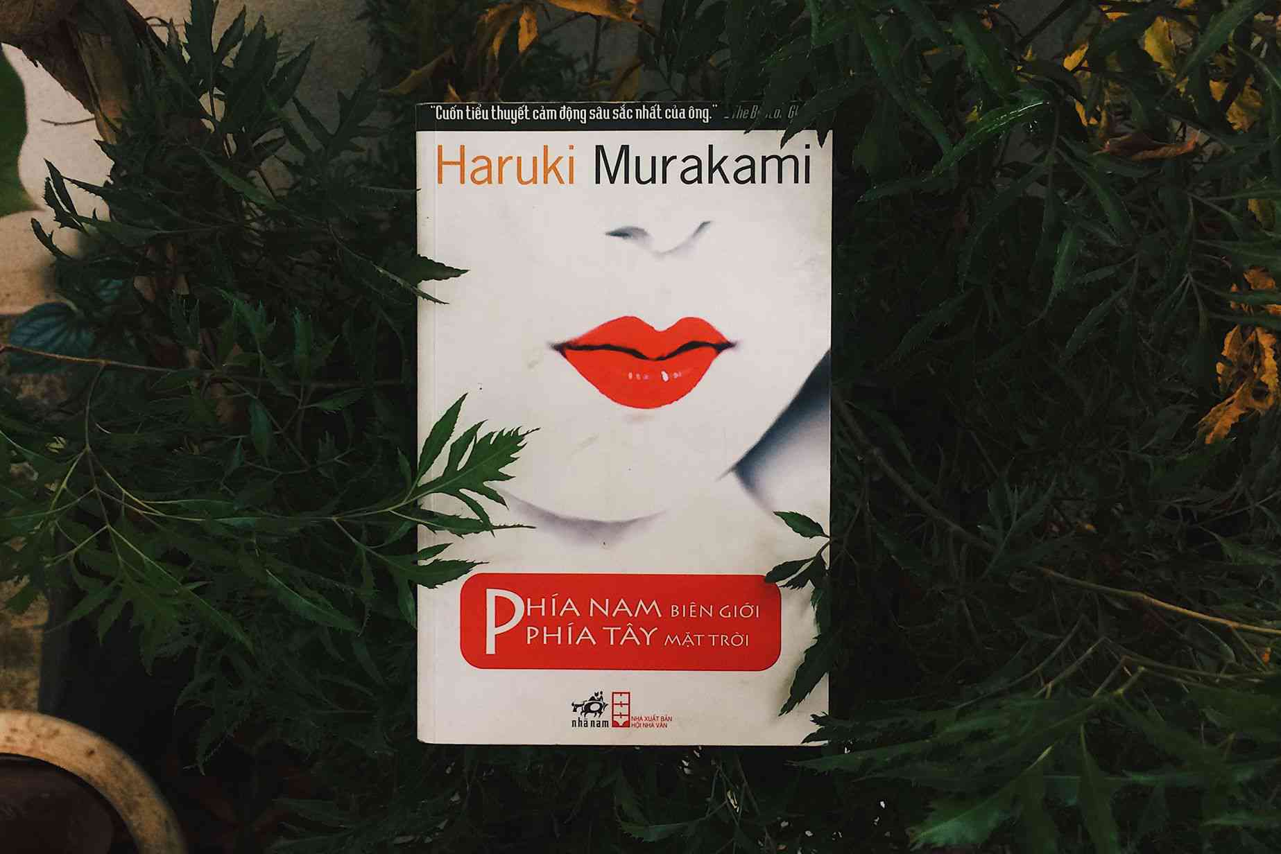 “Phía Nam biên giới, phía Tây mặt trời” là câu chuyện đơn giản nhất mà Murakami từng kể