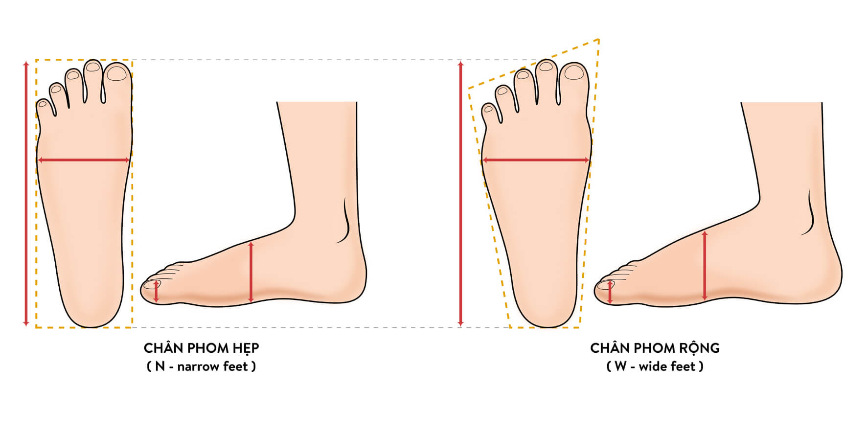 Bạn nên tự đo lại kích thước của chân mình để có những sự so sánh và quy đổi chuẩn nhất.