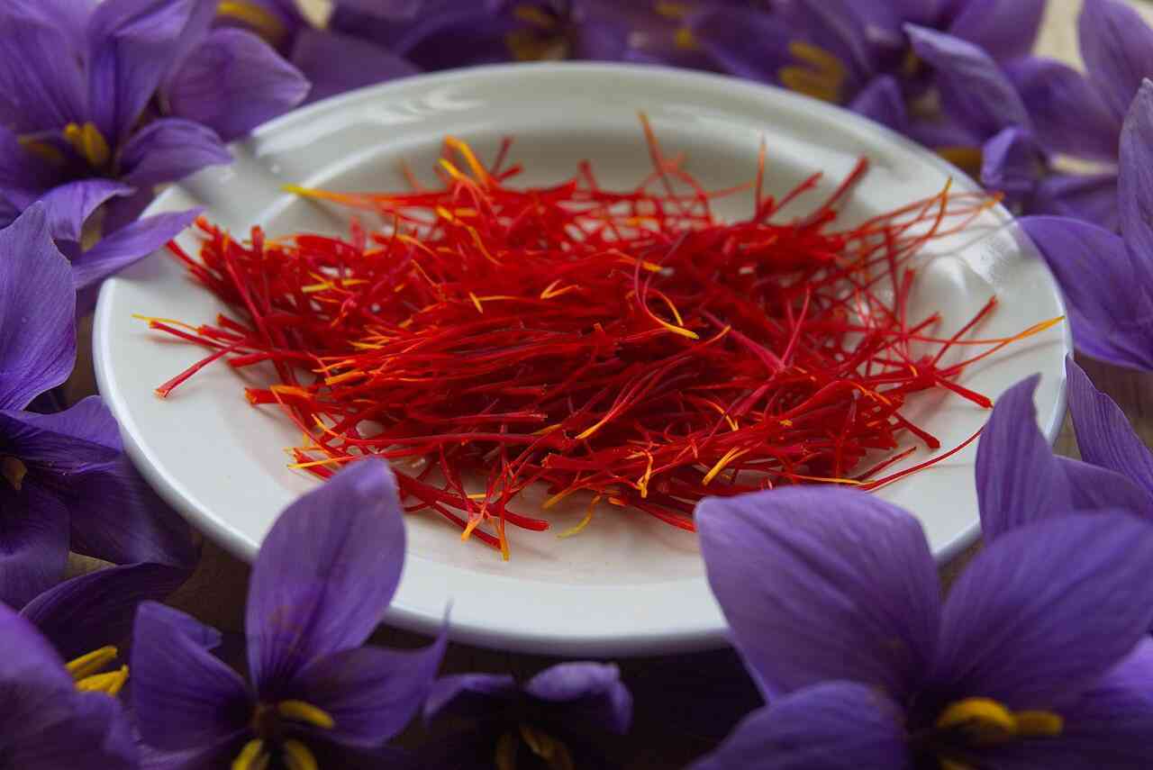 Lợi ích của Saffron giúp giảm vết thâm nám khiến chị em thích thú.