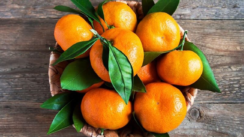 Hàm lượng Vitamin A trong quýt dồi dào hơn cam. 