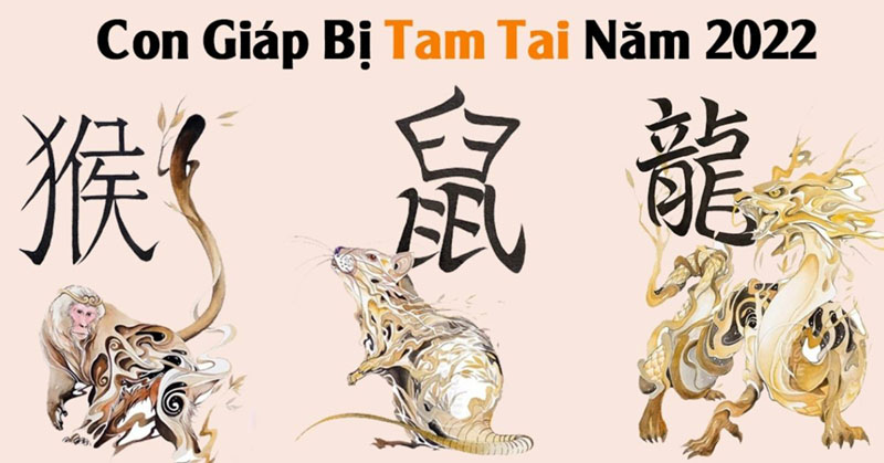 Năm Nay Tuổi Con Gì Bị Tam Tai? - Khám Phá Vận Hạn Và Cách Hóa Giải