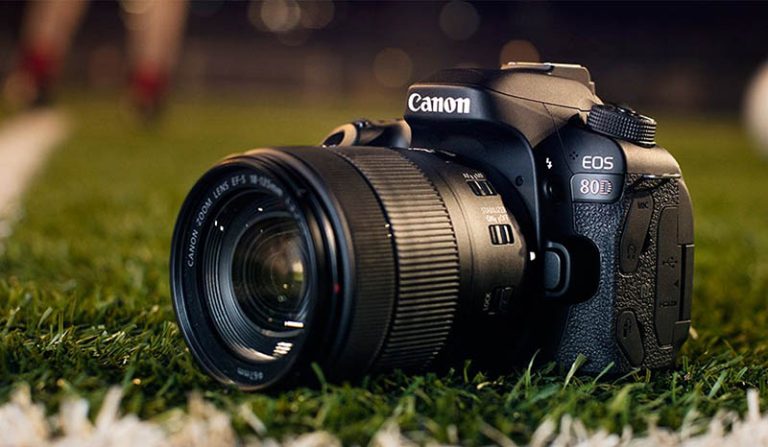 Top 4 máy ảnh chuyên nghiệp được ưa chuộng 2022