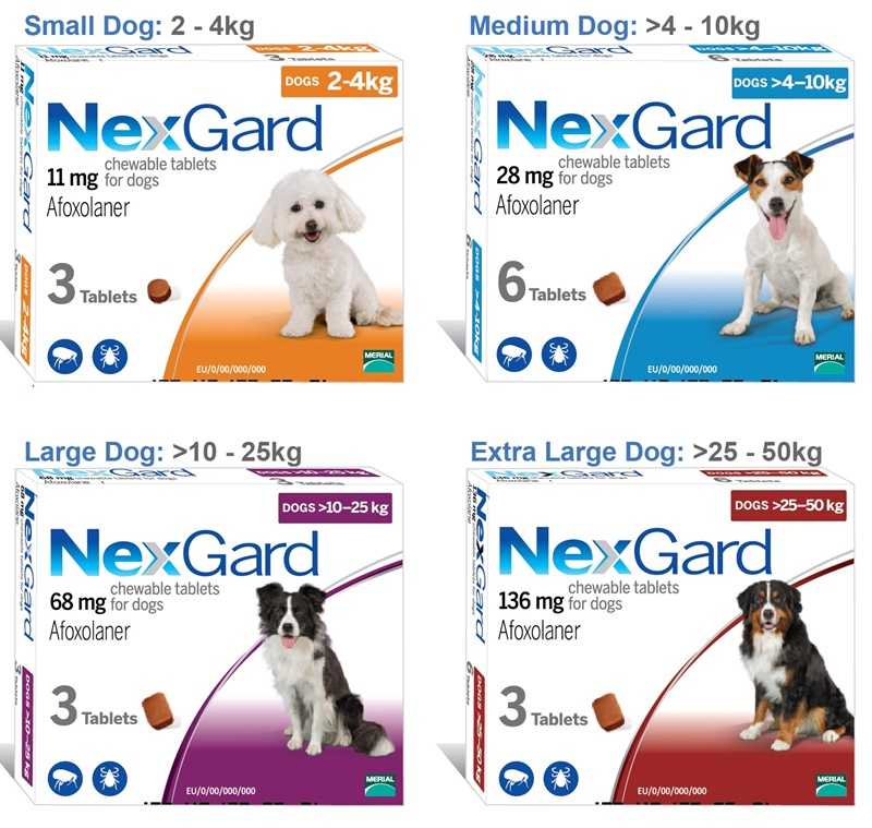 Using Nexgard Tick Therapy Chewable Tablets 