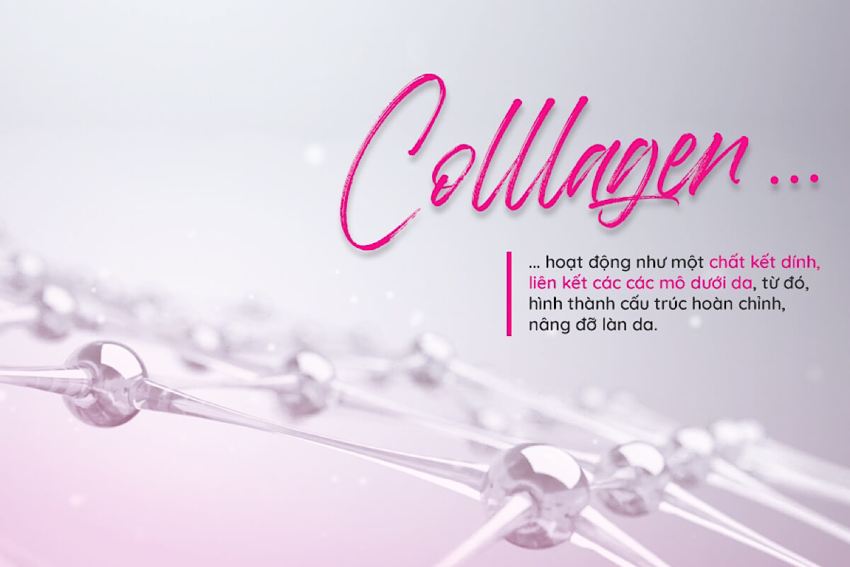 Collagen