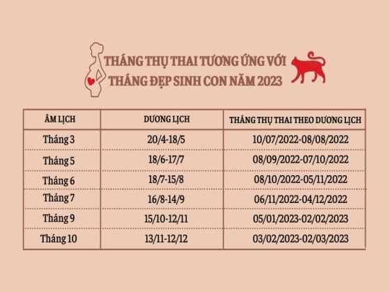 Năm 2023 là năm con gì mệnh gì Có nên sinh con năm 2023