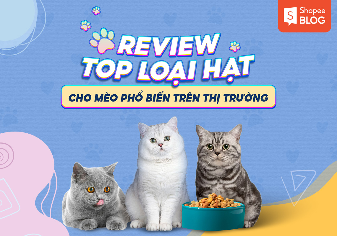 Review top 8 các loại hạt cho mèo phổ biến trên thị trường 11