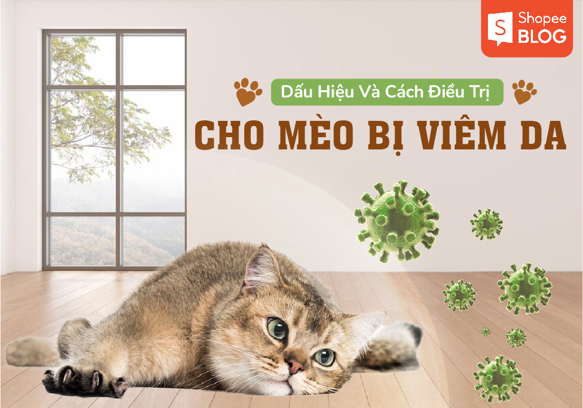 Tại sao mèo bị viêm da?
