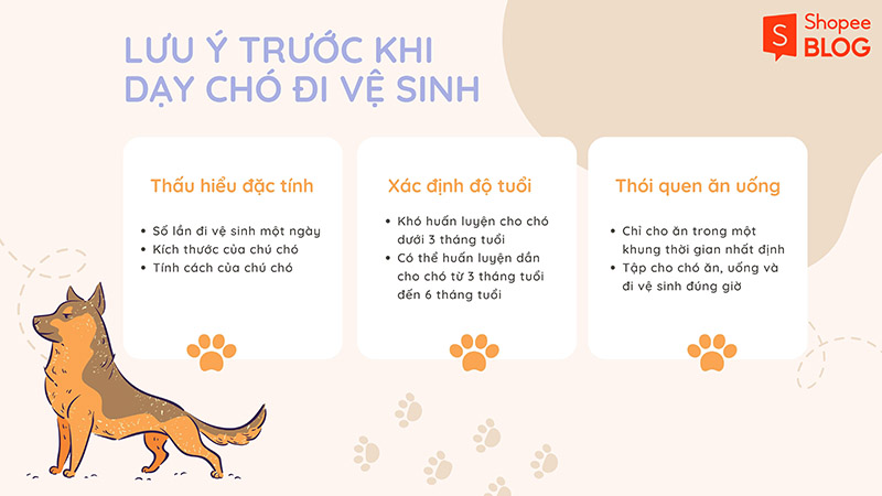 lưu ý khi huấn luyện chó đi vệ sinh