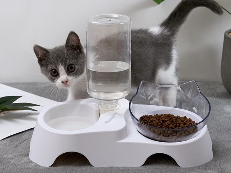 Khay đồ ăn và nước uống cho mèo (Nguồn: phukienthucung.com)