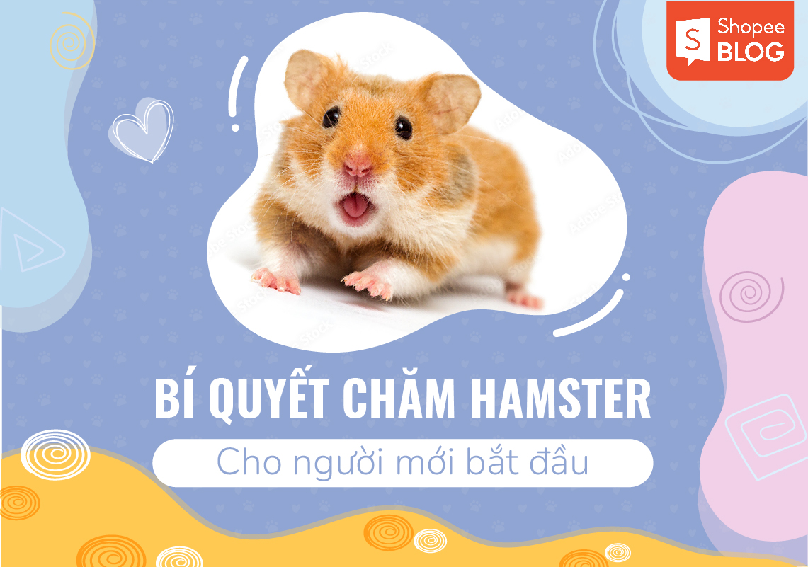 cách nuôi chuột hamster