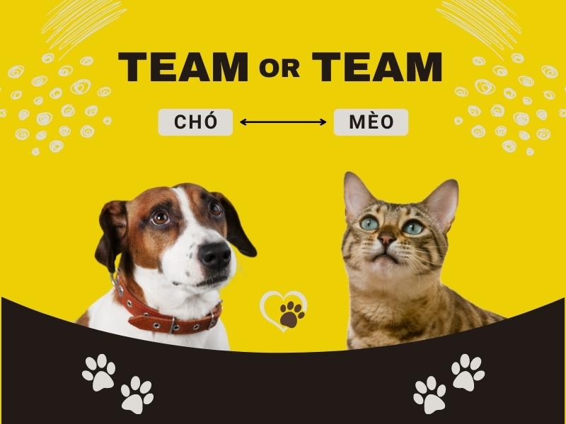 Bạn thuộc team thích mèo hay team thích chó? (Nguồn: Shopee Blog)