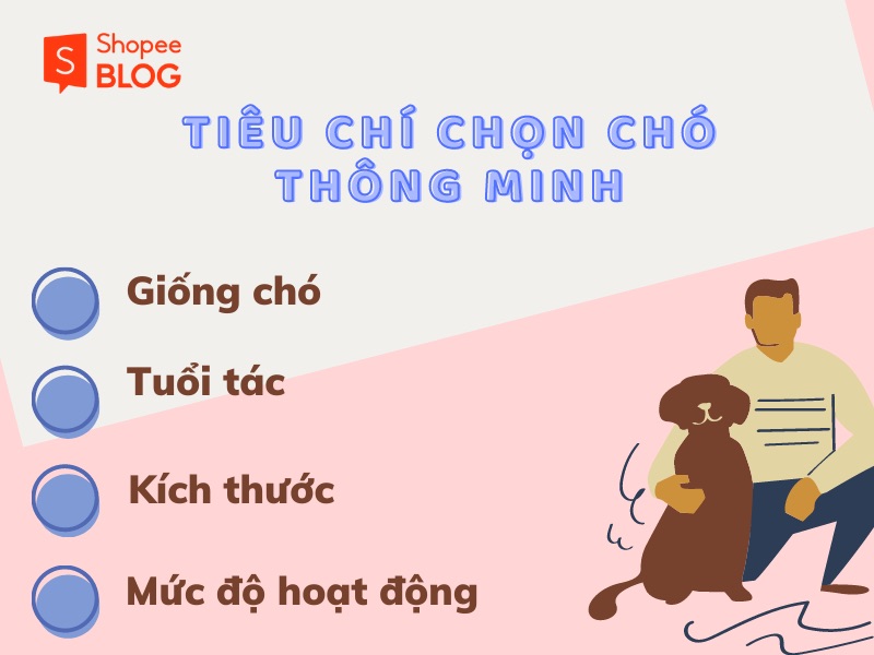 Tiêu chí chọn chó thông minh