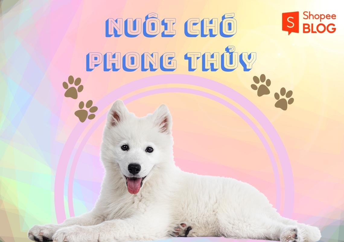 Nuôi chó phong thủy theo mệnh mang lại may mắn tiền tài - Shopee Blog