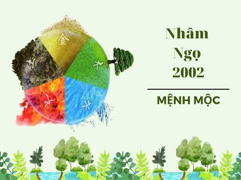 Mệnh Mộc 2002 hợp cây gì (Nguồn: Shopee Blog)