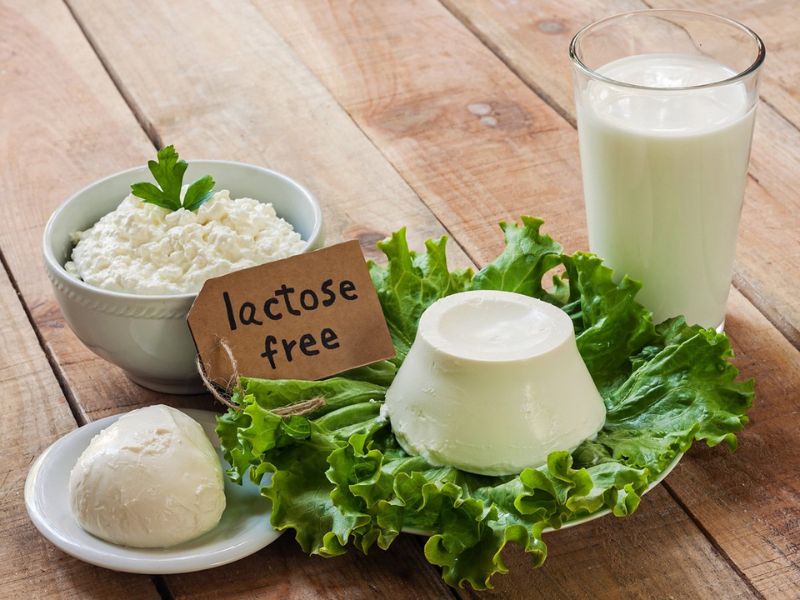 Mèo không dung nạp lactose (Nguồn: vinmec.com)