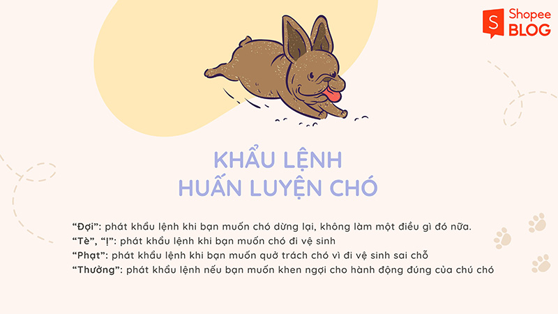 Một số khẩu lệnh thường được áp dụng để huấn luyện chó (Nguồn: Shopee Blog)