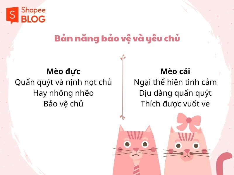 Sự khác biệt về tình cảm đối với chủ giữa mèo đực và cái