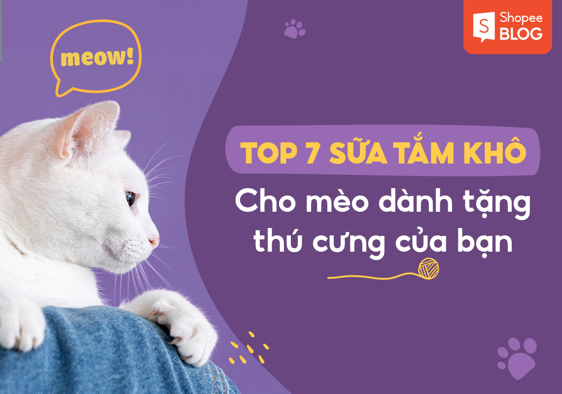 Top 7 sữa tắm khô cho mèo dành tặng thú cưng của bạn 6